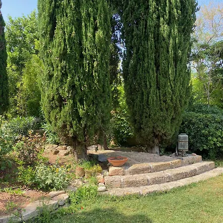 La De Michele מרסיאן